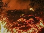 Lava from the eruption of Mount Nyiragongo is seen in Buhene, on the outskirts of Goma, Congo on May 23. Congo's Mount Nyiragongo erupted for the first time in nearly two decades on May 22, turning the night sky a fiery red and sending lava onto a major highway.(Justin Kabumba / AP)