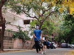 At its peak of the April-May surge, Delhi added 28,395 cases of the infection in a single day on April 20 — the most ever in the city since the pandemic broke out in March last year.