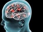 Since our ancestors infected themselves with retroviruses millions of years ago, we have carried elements of these viruses in our genes -- known as human endogenous retroviruses, or HERVs for short, researchers said.(Twitter/AusStemCell)