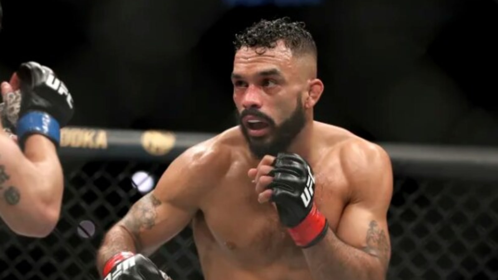 Rob Font dominates former champ Cody Garbrandt at UFC Fight Night -  Hindustan Times