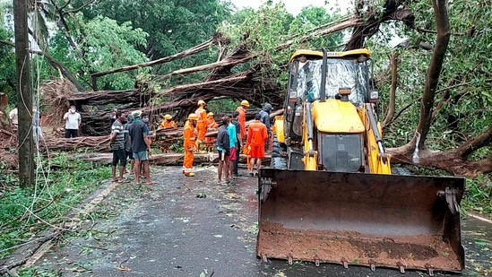 NDRF team clears a road blocked by the falling of trees due to strong winds during the formation of cyclone Tauktae, near TB hospital in Panaji.(PTI)