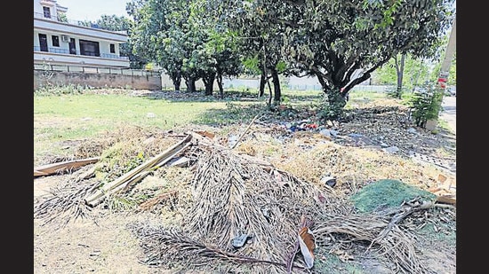 Horticulture waste dumped on a vacant plot in Sector 46, Chandigarh. (HT FILE PHOTO) Horticulture waste dumped on a vacant plot in Sector 46, Chandigarh. (HT FILE PHOTO)