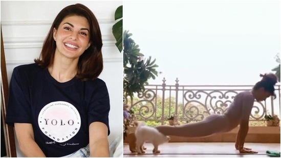 Watch: Jacqueline Fernandez shows what doing Yoga with cats looks like | Hindustan Times