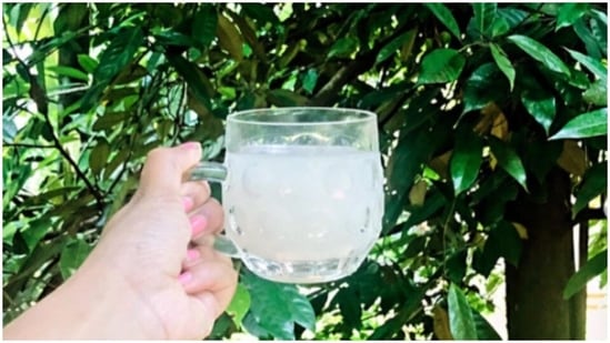 Toddy: This beverage is found in Andhra Pradesh, Kerela and Tamil Nadu. It is made by fermenting the flower sap of the coconut tree and is mostly drank by the villagers after a long day at work.(Instagram/athirachako)