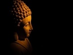 Buddha Purnima 2021(Unsplash) Buddha Purnima 2021(Unsplash)