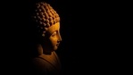 Buddha Purnima 2021(Unsplash) Buddha Purnima 2021(Unsplash)