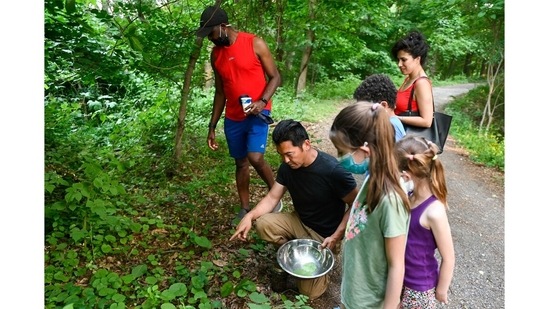 Chef Bun Lai (C), along with friends, collects cicadas and invasive edible plants to cook with at Fort Totten Park in Washington, DC on May 23. Bun is a leader in the sustainable food movement, and cooks cicadas to help open the conversation to alternative ways to eat that are less destructive than traditional farming, which he sees as non-sustainable.(Andrew Caballero-Reynolds / AFP)