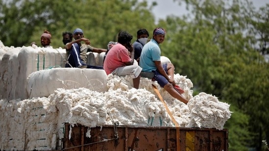 Not only the private sector, even the government has slowed down hiring in the middle of the pandemic. File photo Not only the private sector, even the government has slowed down hiring in the middle of the pandemic. File photo