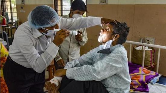 Mucormycosis, if left untreated, can kill up to 80% of those infected. (Agency Photo) Mucormycosis, if left untreated, can kill up to 80% of those infected. (Agency Photo)