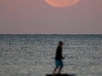 The moon rises as surfers wait for waves in Sydney Wednesday, May 26, 2021. A total lunar eclipse, also known as a Super Blood Moon, will take place later tonight as the moon appears slightly reddish-orange in colour. (AP)