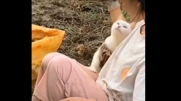The image shows the kitty snuggling up to its human.