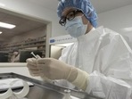 As the WHO prepares to begin a second phase of studies into the origins of Covid-19, China has been under pressure to give investigators more access amid allegations that SARS-CoV-2 leaked from a laboratory specialising in coronavirus research in the city of Wuhan.