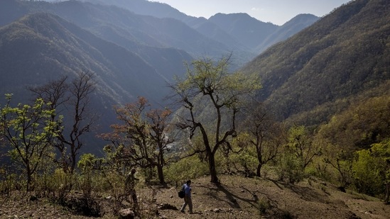 A healthcare worker leaves after conducting rapid antigen tests on villagers amid the Covid-19 outbreak, in Pitha village on May 22. The state of Uttarakhand, which shares its border with China and Nepal, reported 45,568 Covid-19 cases and 6,020 fatalities as of May 25, Reuters reported.(Danish Siddiqui / REUTERS)