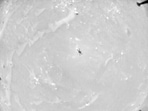 This photo made available by NASA shows the shadow of the Ingenuity Mars Helicopter captured by the aircraft's navigation camera.(NASA/JPL-Caltech via AP) This photo made available by NASA shows the shadow of the Ingenuity Mars Helicopter captured by the aircraft's navigation camera.(NASA/JPL-Caltech via AP)