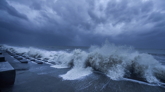 Not only are cyclones relatively uncommon in the Arabian Sea, Tauktae also intensified rapidly. (PTI)