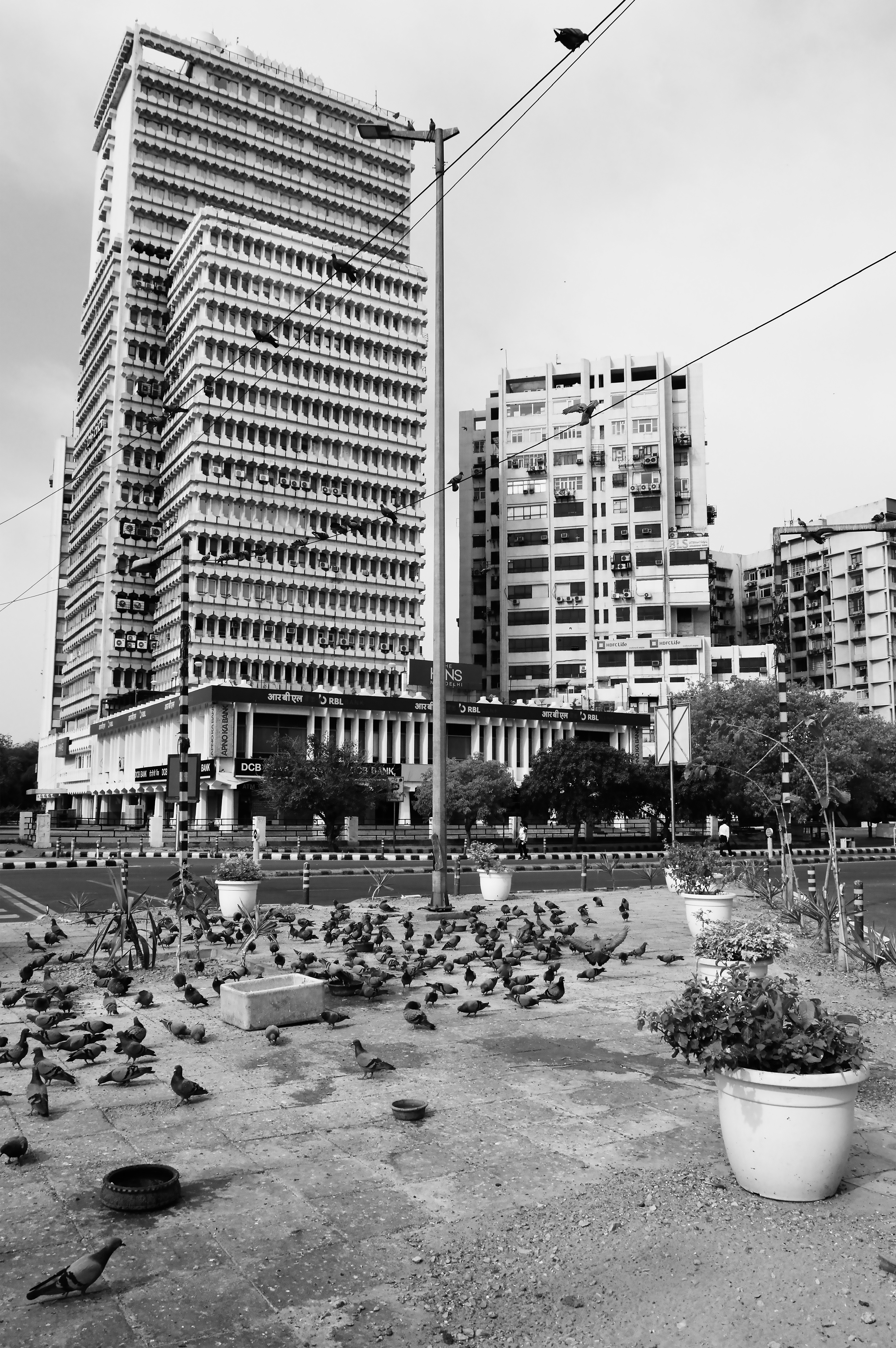 90 pictures of Delhi’s architectural heritage have been put up for sale at the online fundraising exhibition. 90 pictures of Delhi’s architectural heritage have been put up for sale at the online fundraising exhibition.