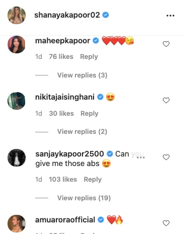 Comments on the post (Instagram/shanayakapoor02)