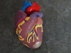 Timely care is key to survive heart attack in Covid-19 times