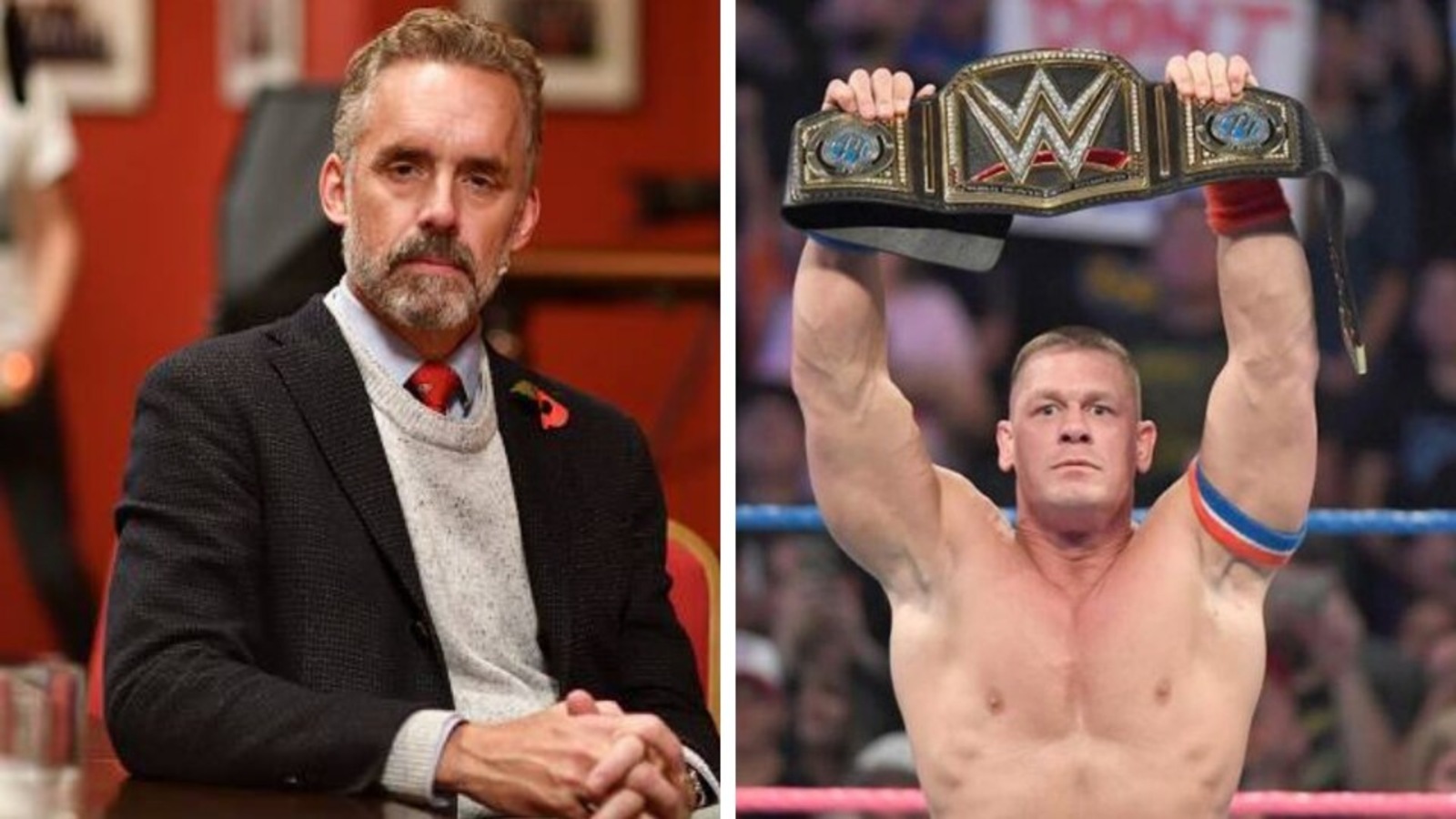 Jordan Peterson explains why people love WWE