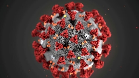 The ultrastructural morphology exhibited by the 2019 Novel Coronavirus (2019-nCoV), which was identified as the cause of an outbreak of respiratory illness first detected in Wuhan, China, is seen in an illustration.(Reuters)
