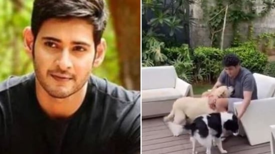 Mahesh Babu will be seen next in Sarkaru Vaari Paata.