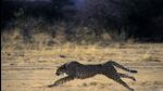 Representational Image. (LightRocket via Getty Images) Representational Image. (LightRocket via Getty Images)