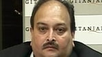 Mehul Choksi mysteriously disappeared from Antigua last Sunday and was later found in neighbouring Dominica.(HT File Photo) Mehul Choksi mysteriously disappeared from Antigua last Sunday and was later found in neighbouring Dominica.(HT File Photo)