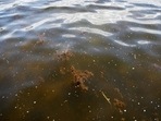 Crews from the Jacksonville Fire and Rescue Department, the Jacksonville Sheriff's Office and the Florida Fish and Wildlife Conservation Commission found the father and daughter about a mile from their boat.