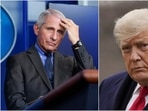 At one point, Dr Anthony Fauci even acknowledged that he was no longer in frequent contact with President Donald Trump.