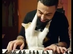 The cat named Fevzi in a still from the video shared by Instagram user 'sarperduman'. The cat named Fevzi in a still from the video shared by Instagram user 'sarperduman'.