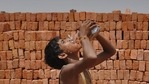 The highest percentages of heat deaths caused by climate change were in cities in South America.(HT Archive) The highest percentages of heat deaths caused by climate change were in cities in South America.(HT Archive)