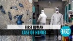 China: First human infection of H10N3 virus reported amid Covid; pandemic risk? China: First human infection of H10N3 virus reported amid Covid; pandemic risk?