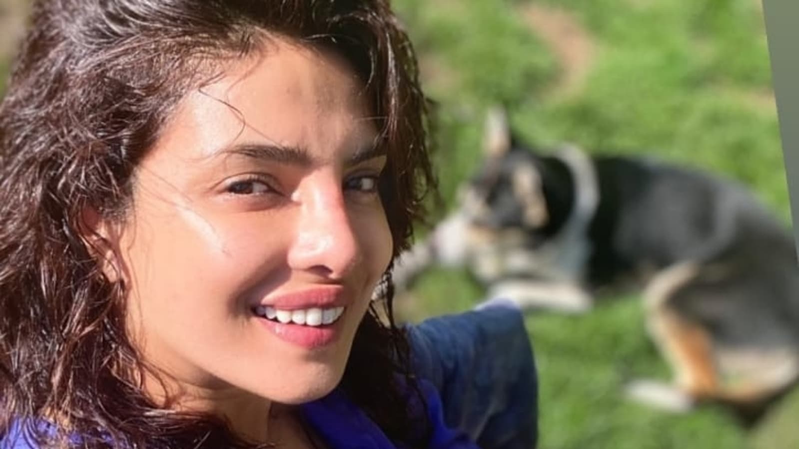 Priyanka Chopra Flaunts A No Makeup Look In Sunny Pic With Her Pup As She Returns To London 