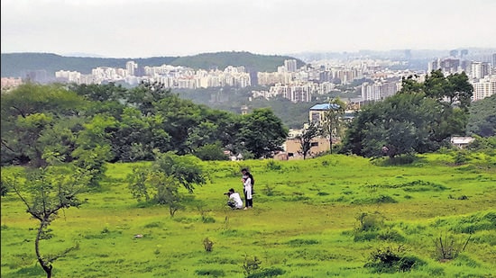 Recent studies show that the hills of Pune harbour natural grasslands that need protection. (HT ) Recent studies show that the hills of Pune harbour natural grasslands that need protection. (HT )