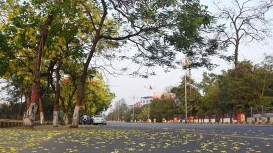 Empty road near Patna high court amid the lockdown imposed to curb the spread of Covid-19 in Bihar. (Photo by Santosh Kumar /Hindustan Times) Empty road near Patna high court amid the lockdown imposed to curb the spread of Covid-19 in Bihar. (Photo by Santosh Kumar /Hindustan Times)