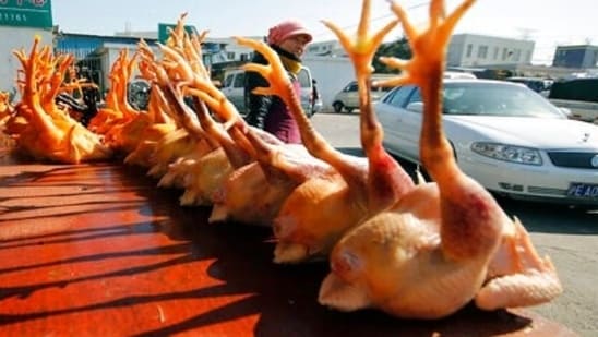 El gobierno chino dice que un hombre de 41 años ha contraído lo que podría ser el primer caso humano de la cepa H10N3 de la gripe aviar, pero el riesgo de propagación a gran escala es bajo (Foto AP).