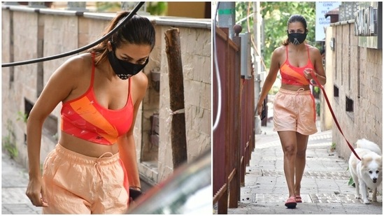 Malaika Arora walking her dog on Monday morning.