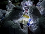 The findings were published by researchers at the University of California, Berkeley, the Politecnico di Milano (Polytechnic University of Milan) and the Massey University of New Zealand. (Sakchai Lalit / AP)
