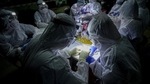 The findings were published by researchers at the University of California, Berkeley, the Politecnico di Milano (Polytechnic University of Milan) and the Massey University of New Zealand. (Sakchai Lalit / AP) The findings were published by researchers at the University of California, Berkeley, the Politecnico di Milano (Polytechnic University of Milan) and the Massey University of New Zealand. (Sakchai Lalit / AP)