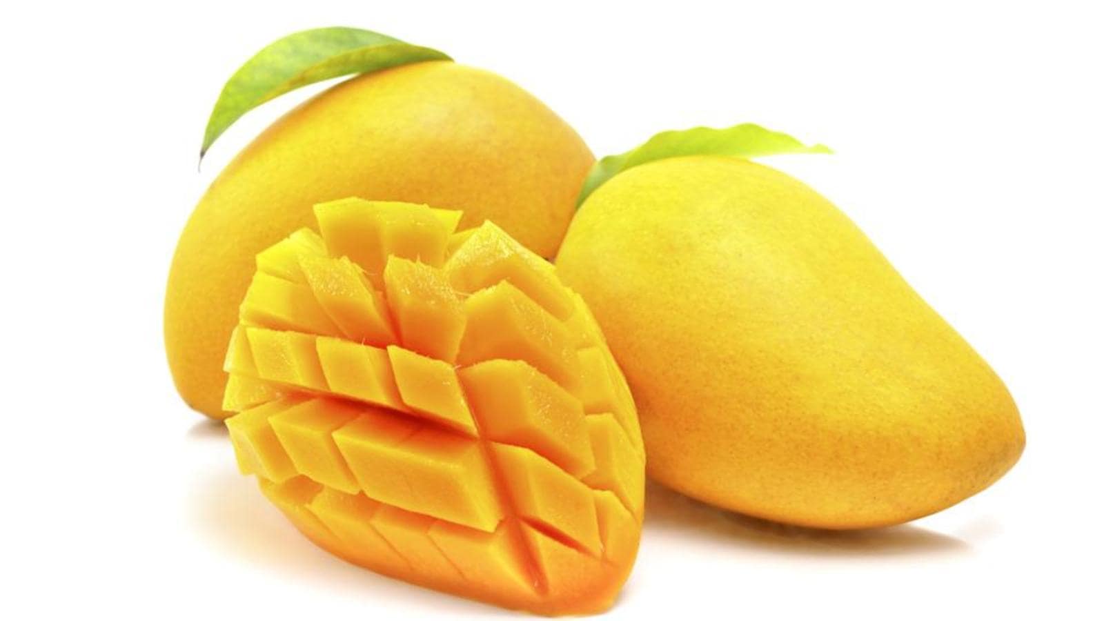 mango season ...