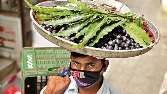 It’s early June and hawker Sant Ram is carrying purple jamuns on a straw basket perched upon his head. (Mayank Austen Soofi) It’s early June and hawker Sant Ram is carrying purple jamuns on a straw basket perched upon his head. (Mayank Austen Soofi)