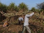 Most of the additional ethanol production will come from sugar cane processing. Most of the additional ethanol production will come from sugar cane processing.