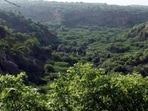 The United Nations has designated June 5 to be celebrated as World Environment Day to highlight the significance of its protection.(Manoj Kumar/ Hindustan Times) The United Nations has designated June 5 to be celebrated as World Environment Day to highlight the significance of its protection.(Manoj Kumar/ Hindustan Times)