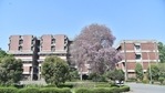 IIT Kanpur admissions 2021: The four programs are masters in communication systems, cybersecurity, power sector regulation, economics and management, and commodity markets and risk management. The programs can also be sponsored by corporates for their employees.(HT Photo) IIT Kanpur admissions 2021: The four programs are masters in communication systems, cybersecurity, power sector regulation, economics and management, and commodity markets and risk management. The programs can also be sponsored by corporates for their employees.(HT Photo)