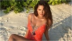 Esha Gupta nails the Eka Pada Sirsasana in new post, this pic is proof(Instagram/@egupta) Esha Gupta nails the Eka Pada Sirsasana in new post, this pic is proof(Instagram/@egupta)