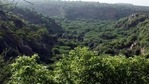 The United Nations has designated June 5 to be celebrated as World Environment Day to highlight the significance of its protection.(Manoj Kumar/ Hindustan Times) The United Nations has designated June 5 to be celebrated as World Environment Day to highlight the significance of its protection.(Manoj Kumar/ Hindustan Times)