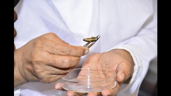 SGPC chief Bibi Jagir Kaur holding the bullet that hit the bir of Guru Granth Sahib in 1984. (Sameer Sehgal/HT)