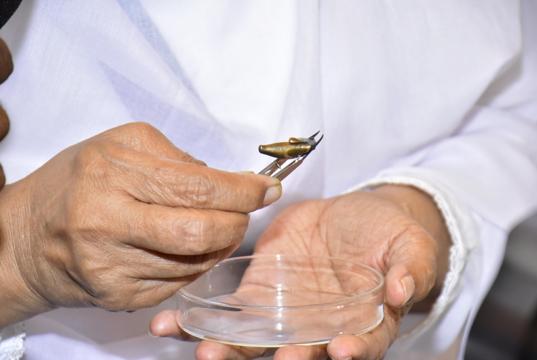 SGPC chief Bibi Jagir Kaur holding the bullet that hit the bir of Guru Granth Sahib in 1984. (Sameer Sehgal/HT) SGPC chief Bibi Jagir Kaur holding the bullet that hit the bir of Guru Granth Sahib in 1984. (Sameer Sehgal/HT)