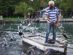 Leonardo Carrillo feeds pelicans in front of his home in Guanimar, Cuba.