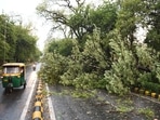 An uprooted tree seen at Copernicus Marg after heavy rainfall, in New Delhi, India, on Friday, June 4, 2021. (Photo by Arvind Yadav/ Hindustan Times) An uprooted tree seen at Copernicus Marg after heavy rainfall, in New Delhi, India, on Friday, June 4, 2021. (Photo by Arvind Yadav/ Hindustan Times)